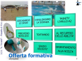 07 Diapositiva7